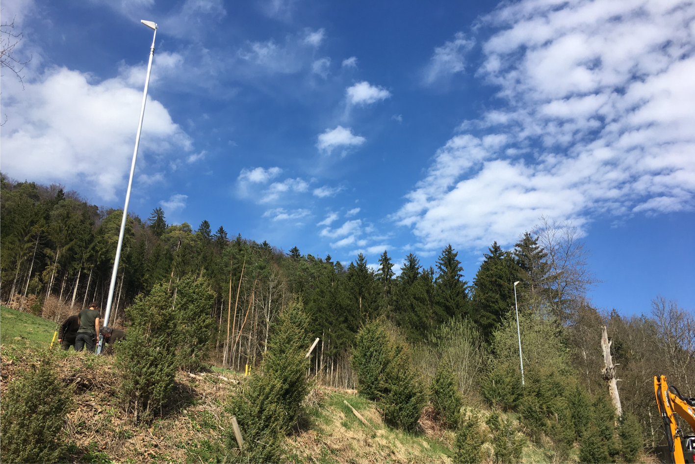 FORST-JAGDBETRIEB | Baden-Württemberg